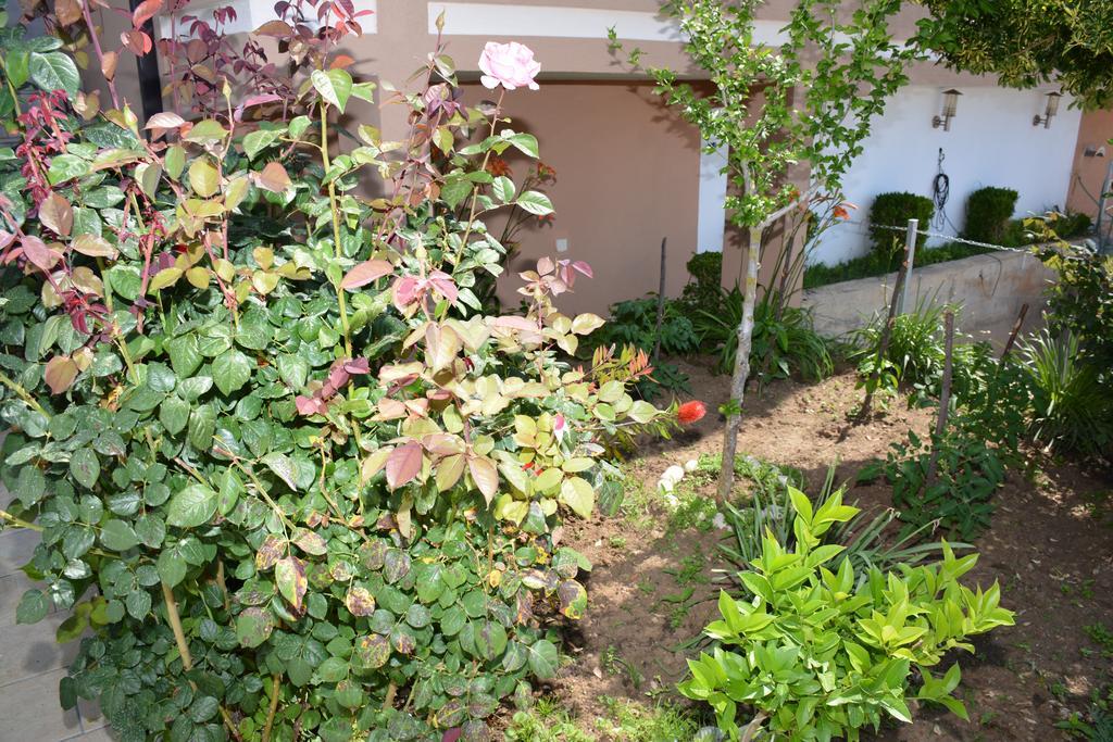 Guest House Evropa 2 Ulcinj Exterior photo